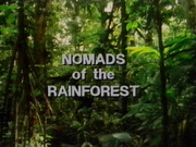 Nomads of the Rain Forest