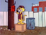 Top Cat