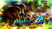 Концерт : BELARUSTV : October 6, 2024 6:35am-7:35am MSK