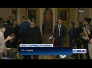 Senate Democrat Leaders Hold News Conference : CSPAN2 : January 29, 2025 1:12am-1:38am EST