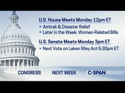 Washington Journal Kelly Dittmar : CSPAN : January 11, 2025 7:16pm-8:03pm EST