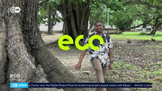 Eco Africa : DW : December 30, 2024 7:30am-8:00am CET