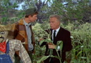 Green Acres Season 2