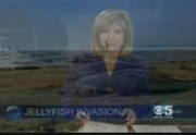 CBS 5 Eyewitness News at 11PM : KPIX : November 14, 2010 11:00pm-11:30pm PST