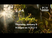 PBS News Hour : KQED : January 6, 2025 3:00pm-4:01pm PST