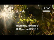 BBC News America : KQED : January 6, 2025 5:30pm-6:01pm PST