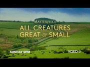 PBS News Weekend : KQED : January 11, 2025 5:30pm-6:00pm PST