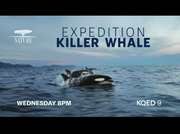 BBC News America : KQED : February 11, 2025 5:30pm-6:01pm PST