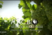 Charlie Rose : KRCB : September 17, 2013 11:00pm-12:01am PDT