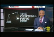 Hardball With Chris Matthews : MSNBC : November 13, 2013 7:00pm-8:00pm EST