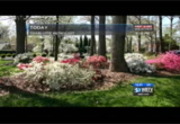 WBTV News 3 at Noon : WBTV : March 23, 2016 12:00pm-12:30pm EDT