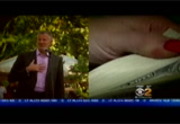 CBS 2 News Sunday : WCBS : April 24, 2016 7:00am-8:00am EDT