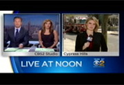 CBS 2 News : WCBS : April 25, 2016 12:00pm-12:30pm EDT