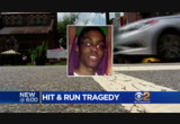 CBS 2 News at 6 : WCBS : June 25, 2016 6:00pm-6:31pm EDT