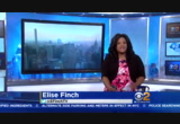 CBS 2 News Saturday : WCBS : July 30, 2016 6:00am-6:55am EDT