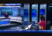 CBS 2 News Sunday : WCBS : July 31, 2016 7:00am-8:01am EDT