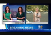 CBS 2 News Sunday : WCBS : August 21, 2016 7:00am-8:01am EDT