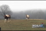 CBS Overnight News : WDBJ : February 26, 2016 2:37am-4:30am EST