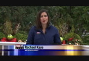 FOX 6 News at 11 : WITI : December 5, 2016 11:00am-12:00pm CST