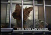 FOX 45 Late Edition : WNUV : January 12, 2012 12:30am-1:05am EST