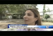 Local 10 News @ 4PM : WPLG : March 14, 2016 4:00pm-5:00pm EDT