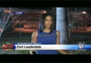 Local 10 News @ 1:00AM : WPLG : March 17, 2016 1:07am-1:37am EDT