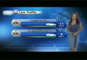 Local 10 News @ 6AM : WPLG : March 17, 2016 6:00am-7:00am EDT