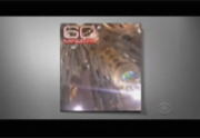 60 Minutes : WSPA : February 28, 2016 7:00pm-7:59pm EST