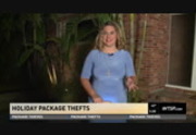 10 News This Morning at 5:00am : WTSP : November 28, 2016 5:00am-5:30am EST