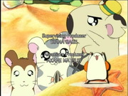 Hamtaro: The Complete Series