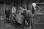 Mister Ed Season 1