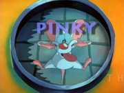 Pinky and the Brain: The Complete Series