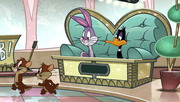 The Looney Tunes Show - All Episodes