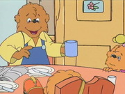 The Berenstain Bears - Complete Series (DVD RIP)